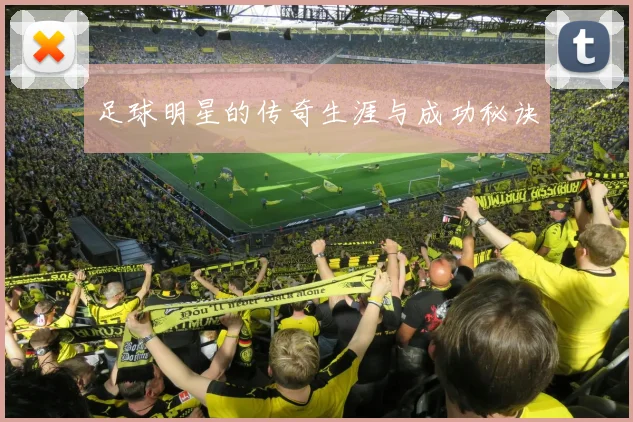 足球明星的传奇生涯与成功秘诀